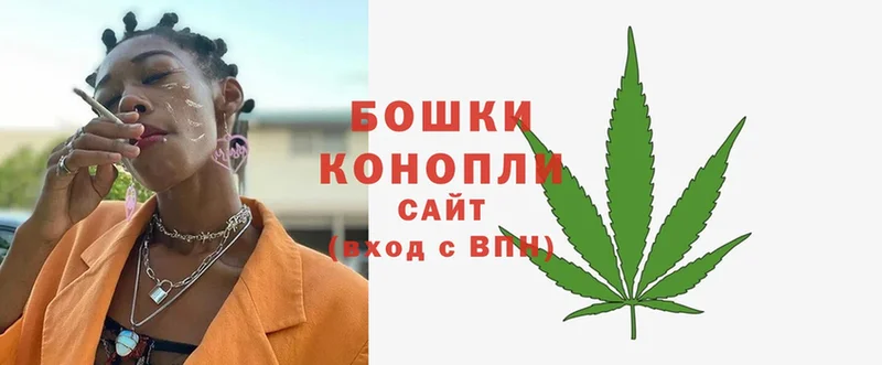 Шишки марихуана THC 21%  Орехово-Зуево 